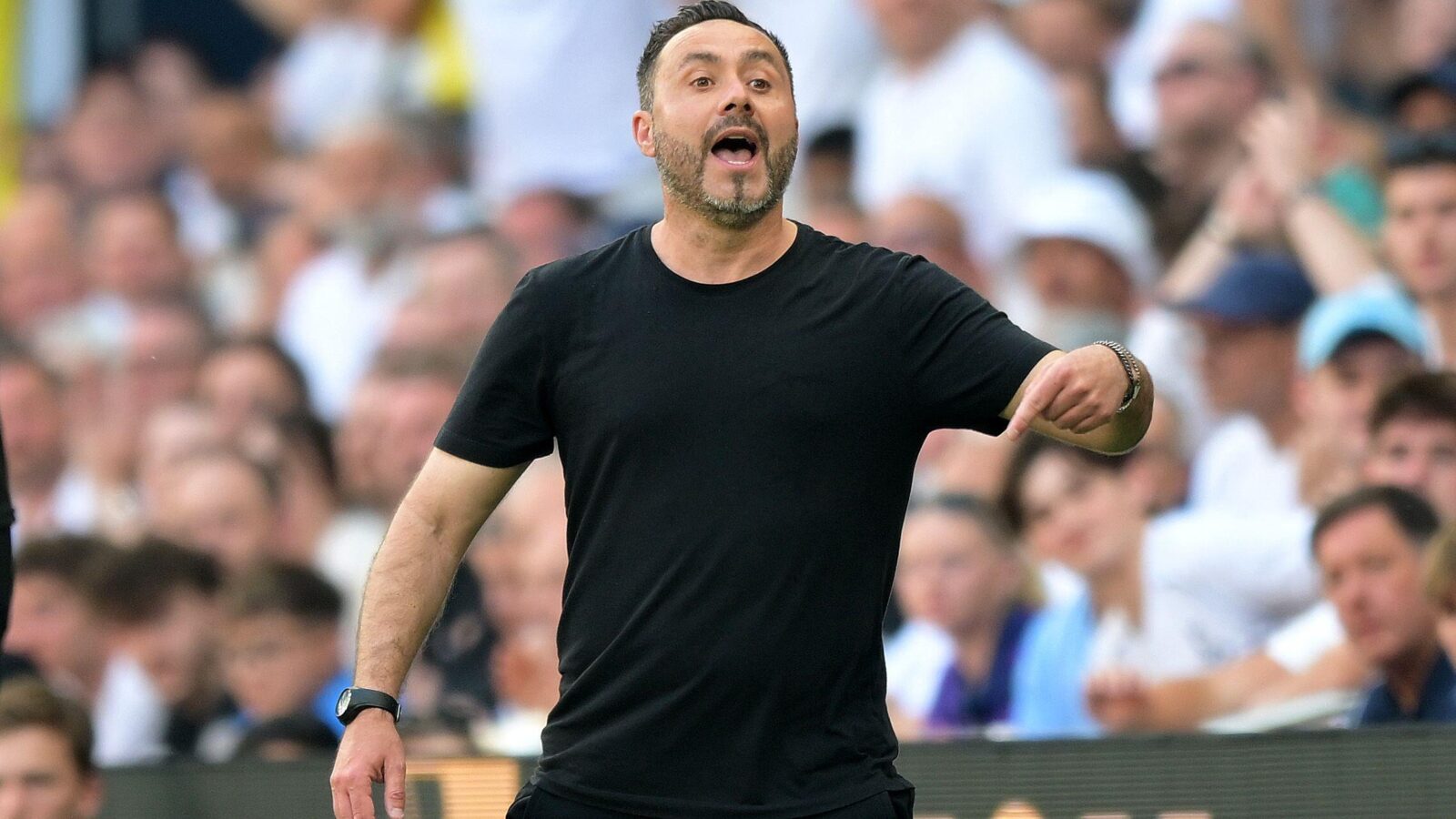 Tottenham boss Roberto De Zerbi